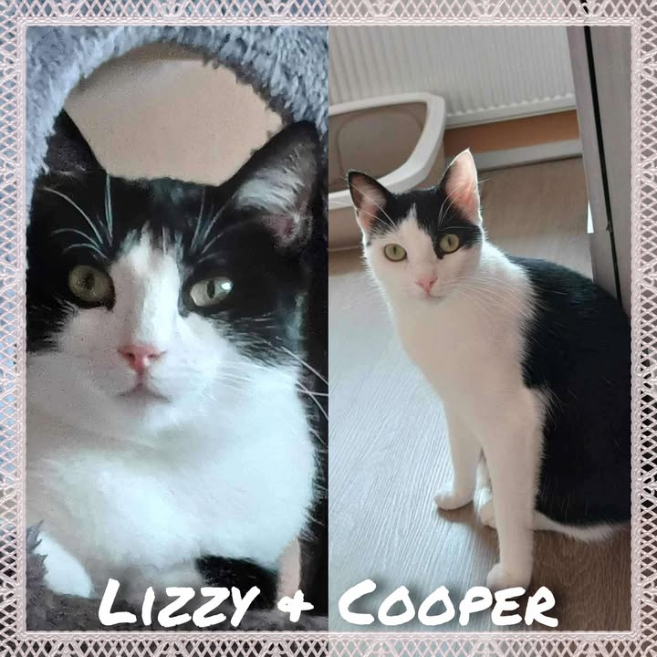 Lizzy en Cooper