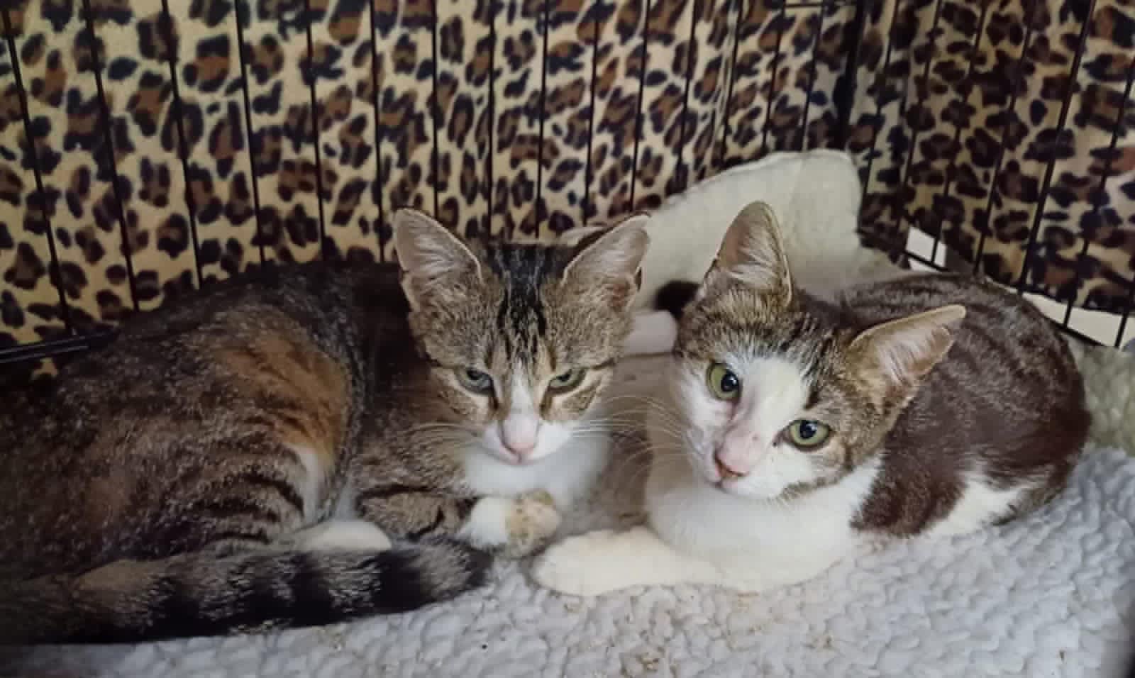 Flo en Kiera