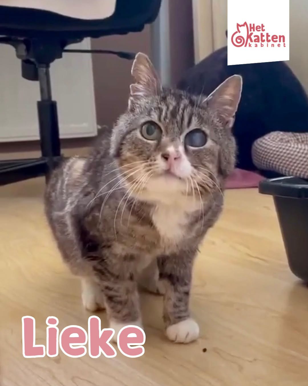 Lieke