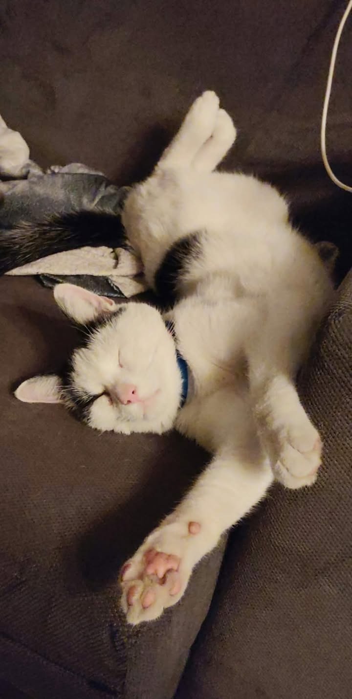 Bobby