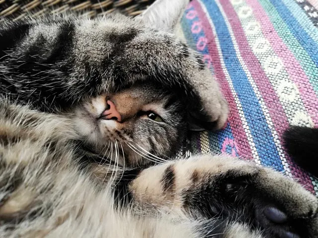 Marley